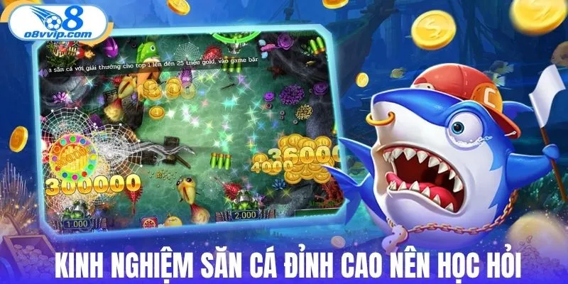 Bỏ túi bí kíp săn cá đỉnh cao nên học hỏi