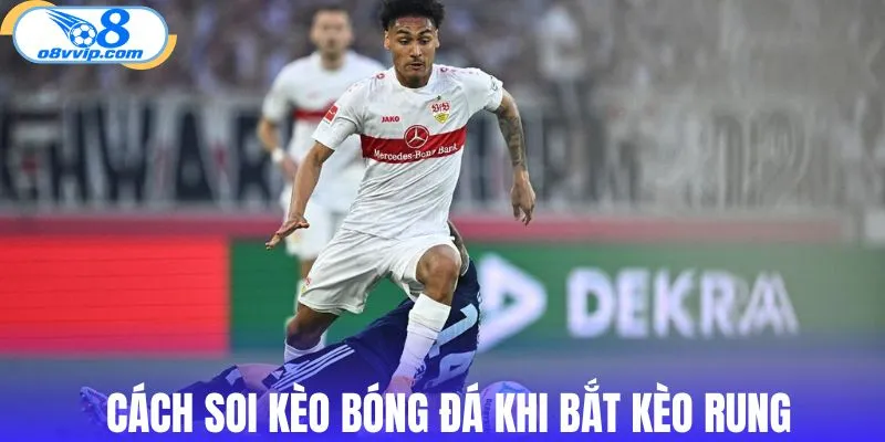 Cách soi kèo bóng đá khi bắt kèo rung