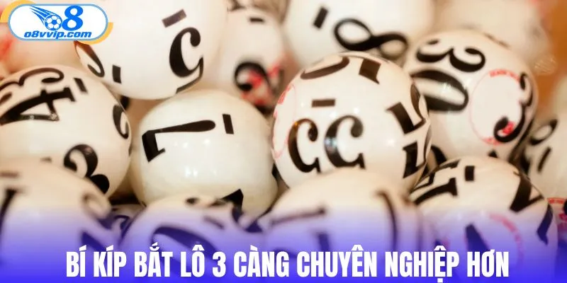 Kinh nghiệm bắt lô 3 càng chuyên nghiệp hơn