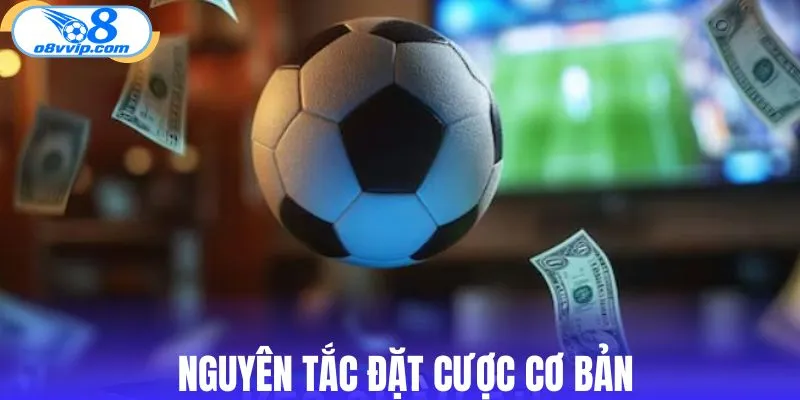 Nguyên tắc đặt cược cơ bản