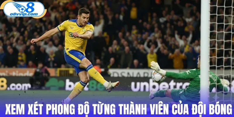 Xem xét phong độ từng thành viên của đội bóng